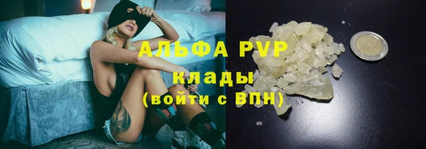 СК Абинск