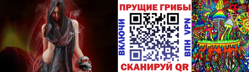 Псилоцибиновые грибы мухоморы  купить  сайты  Вытегра 